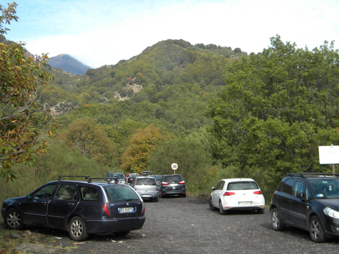 DSCN1005 .JPG